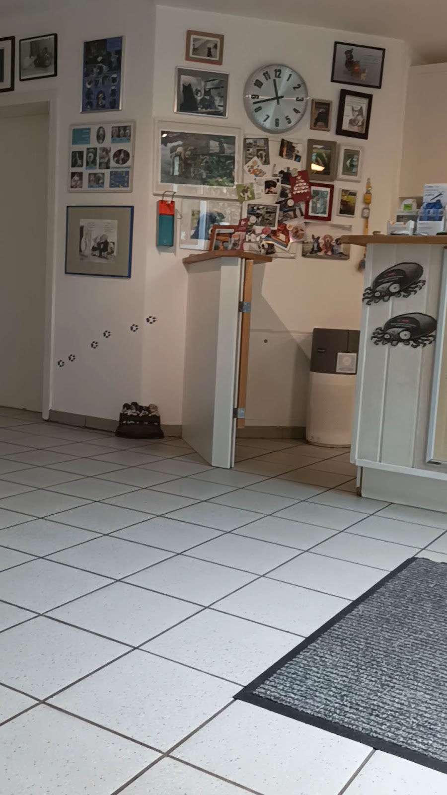 Tierarztpraxis Dr. Keßler in Wesseling – Praxisfoto 2