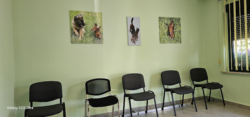 Tierarztpraxis Dr. Manfred Baum