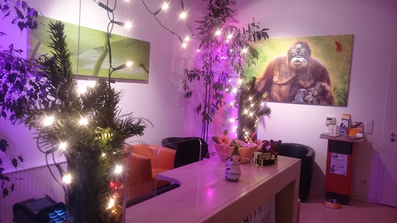 Tierarztpraxis Dr. Miriam Oczipka