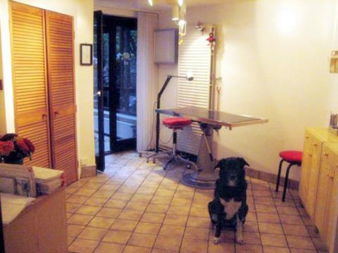 Tierarztpraxis Dr. Renate Lorenz in Berlin – Praxisfoto 2