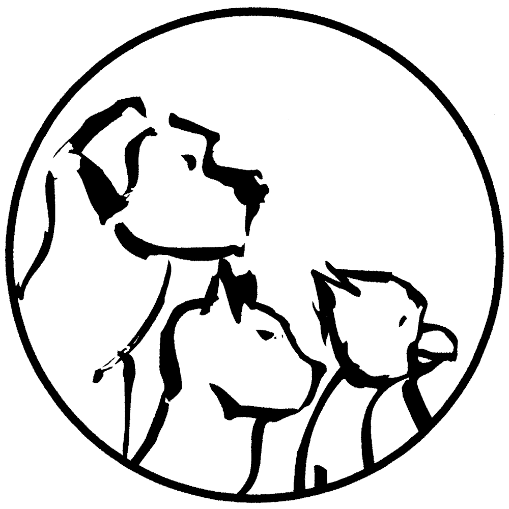 Tierarztpraxis Dr. Sörensen GmbH in Berlin – Praxisfoto 3