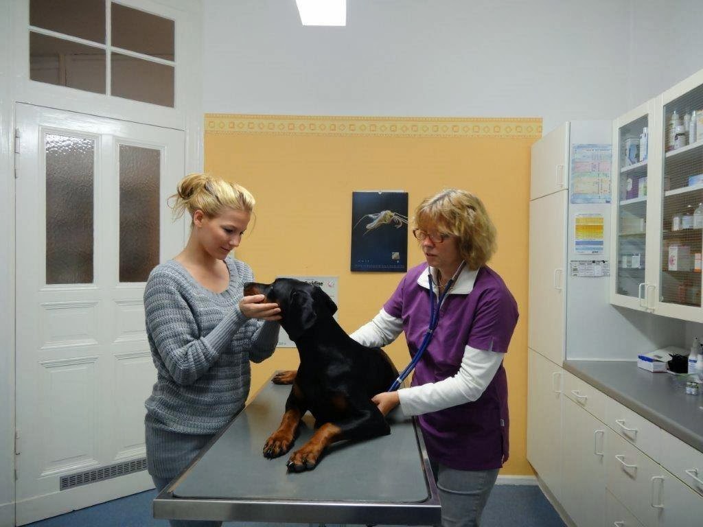 Tierarztpraxis Dr. Steffens in Berlin – Praxisfoto 1