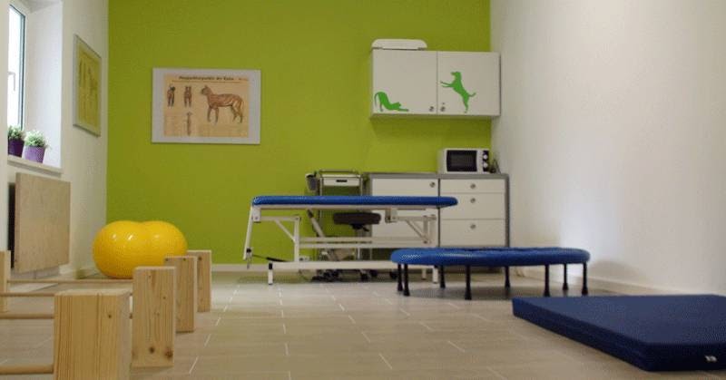 Tierarztpraxis Dr. Susanne Steenbeck - Physiotherapie, Osteopathie, Akupunktur