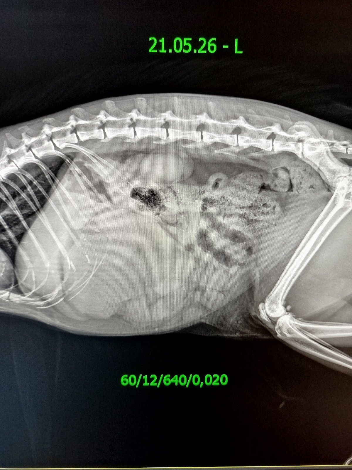 Tierarztpraxis Dr. von Stumberg in Köln – Foto aus einer Patientenbewertung