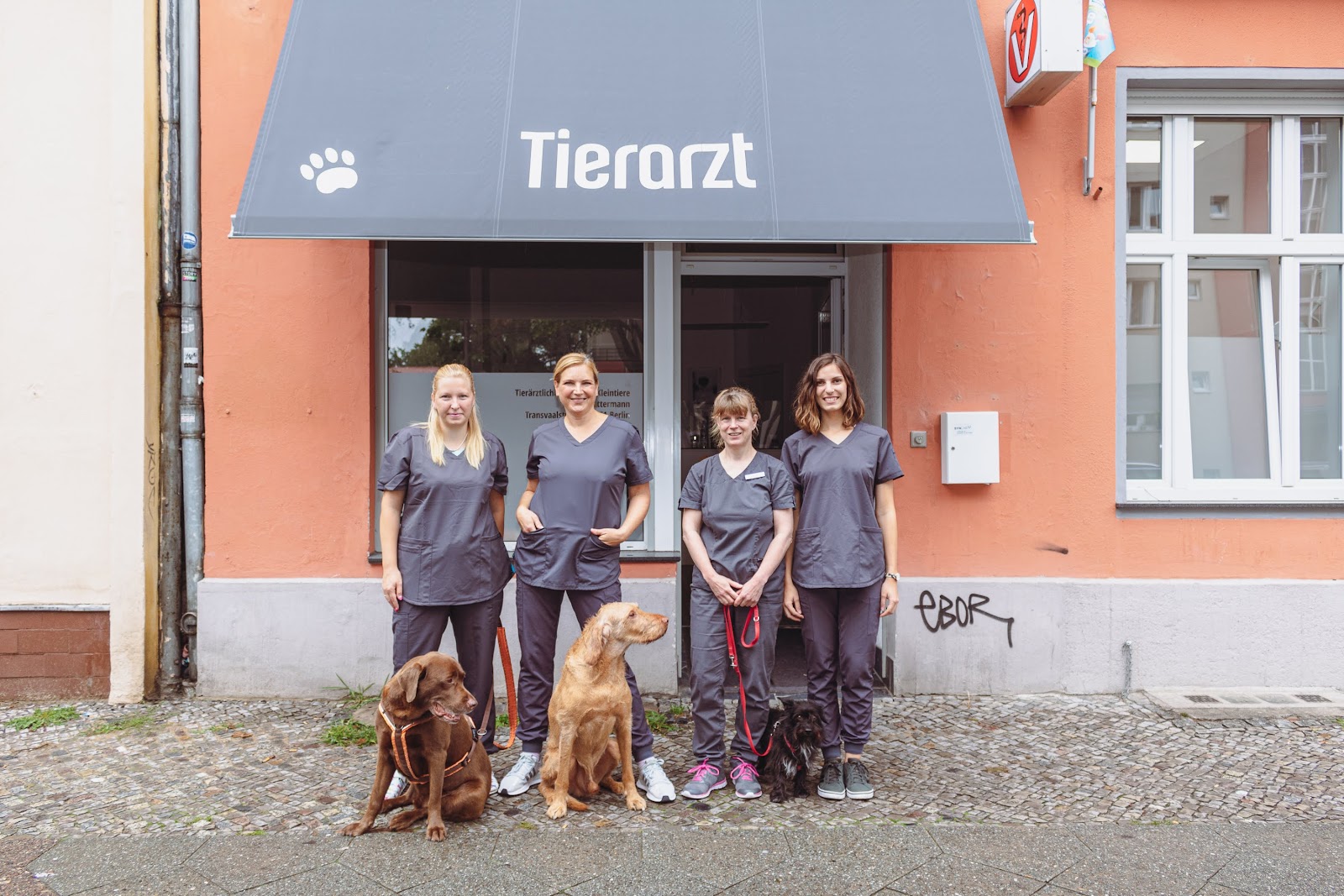 Tierarztpraxis Dr.S.Lattermann im Wedding in Berlin – Praxisfoto 1