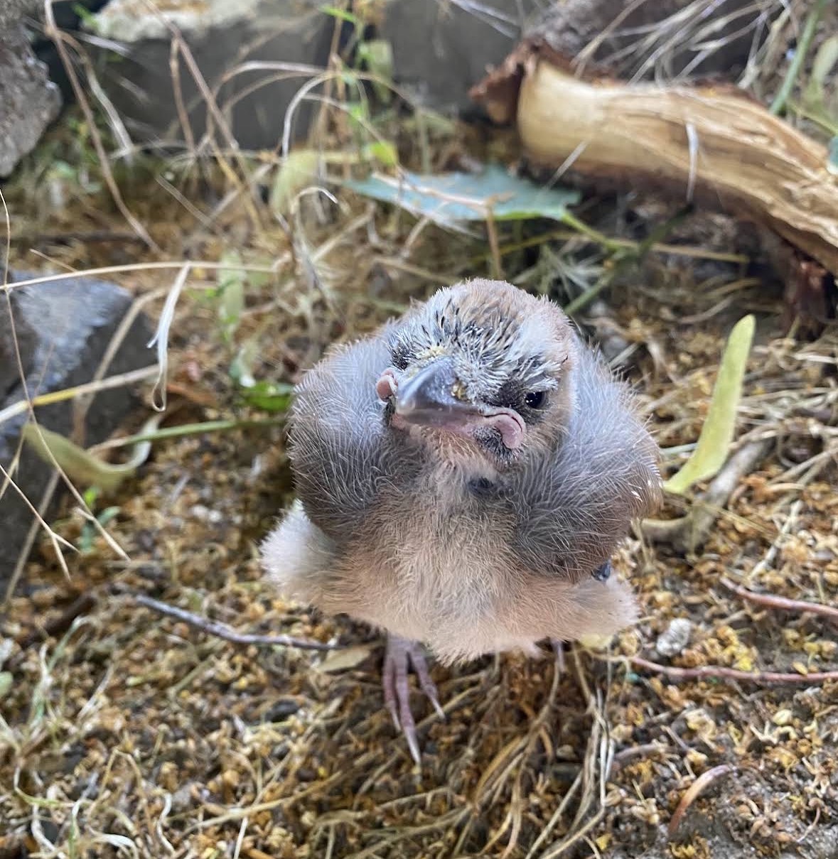 Tierarztpraxis Funk in Niederkassel – Foto aus einer Patientenbewertung