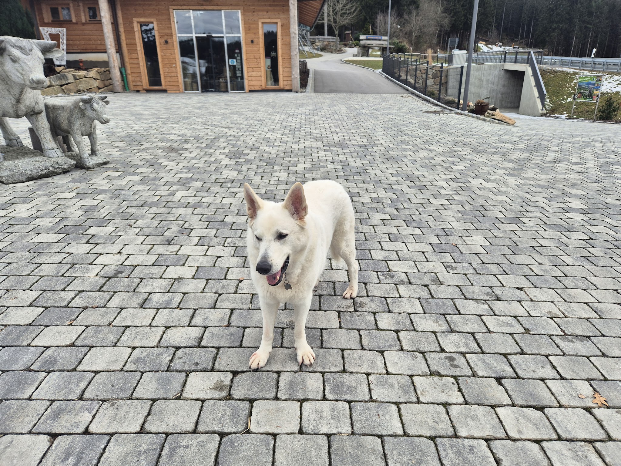 Tierarztpraxis Gerstner GmbH – Bild