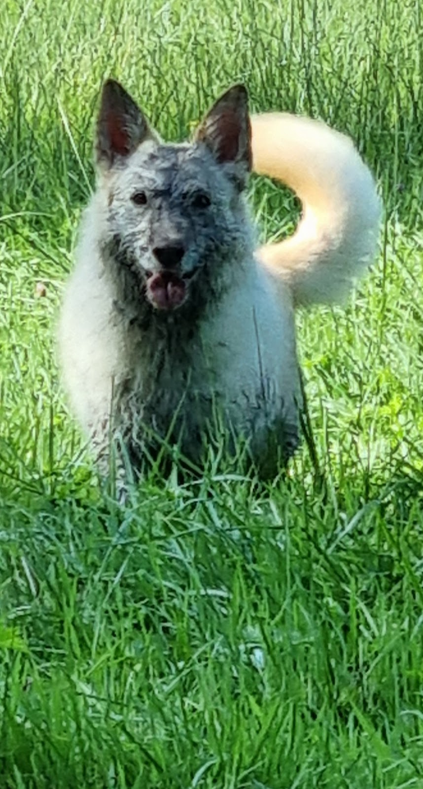 Tierarztpraxis Hans Peter Niklas in Bergisch Gladbach – Foto aus einer Patientenbewertung