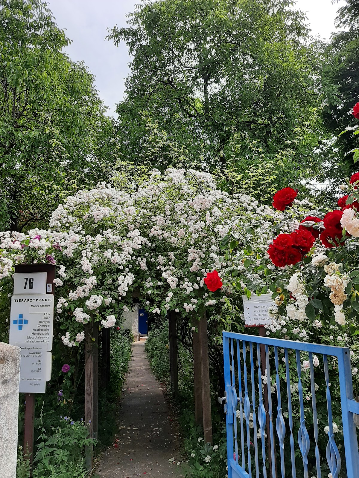 Tierarztpraxis in Marzahn - Martina Roßmann in Berlin – Praxisfoto 4
