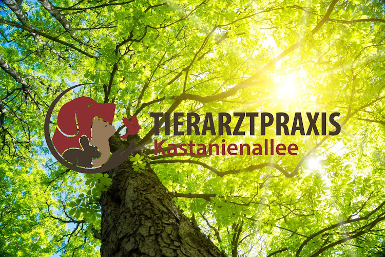 Tierarztpraxis Kastanienallee