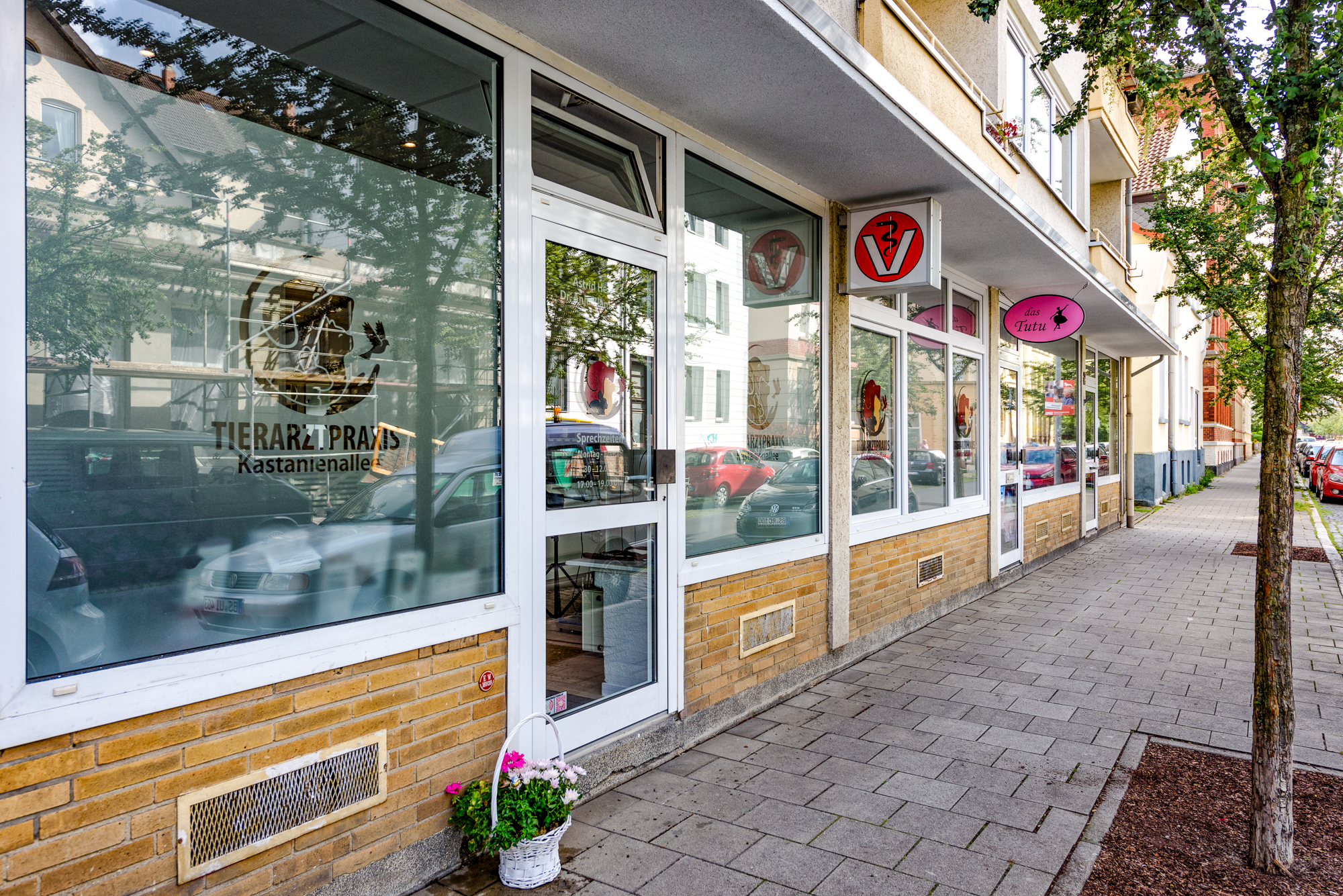 Tierarztpraxis Kastanienallee – Bild