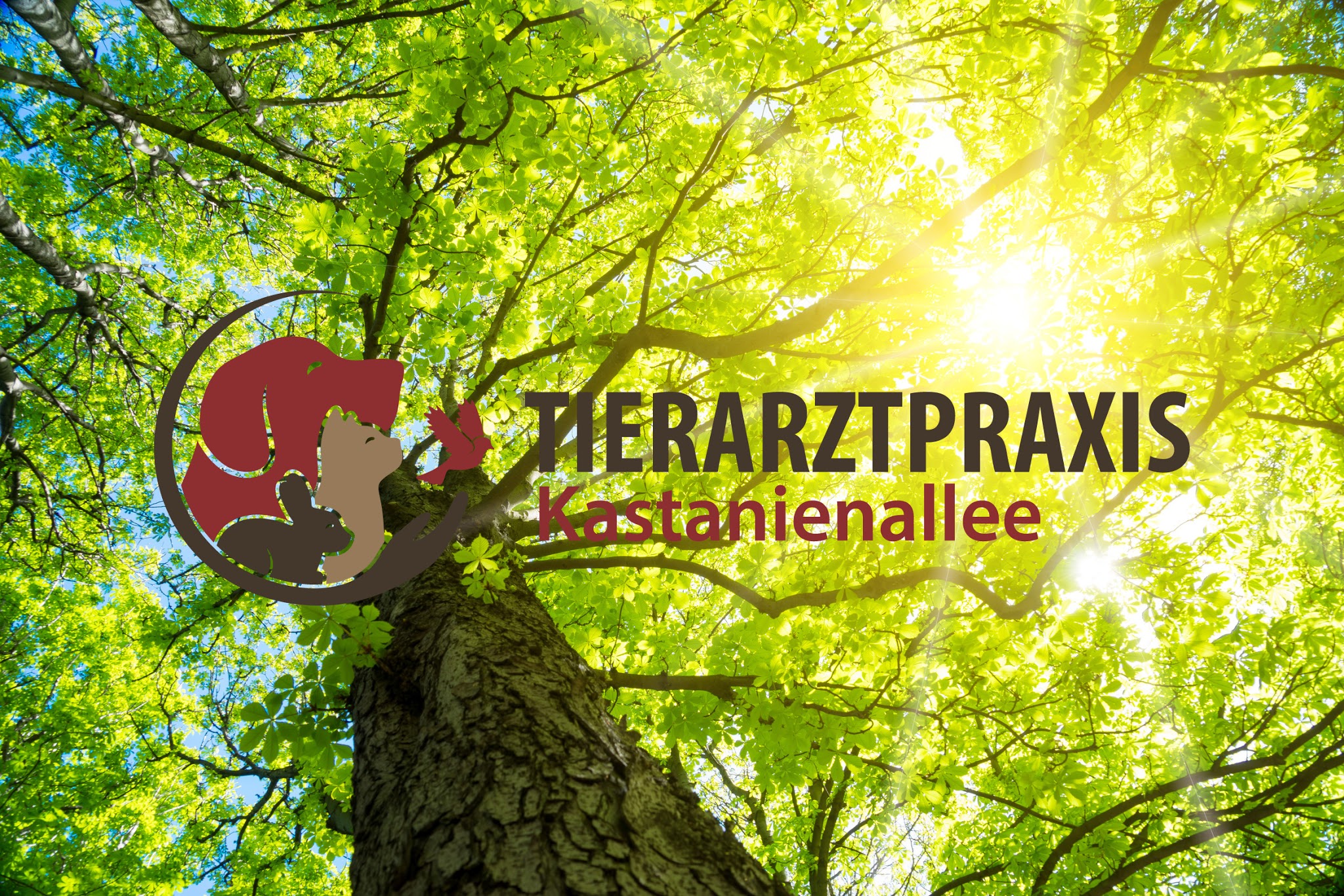 Tierarztpraxis Kastanienallee – Bild