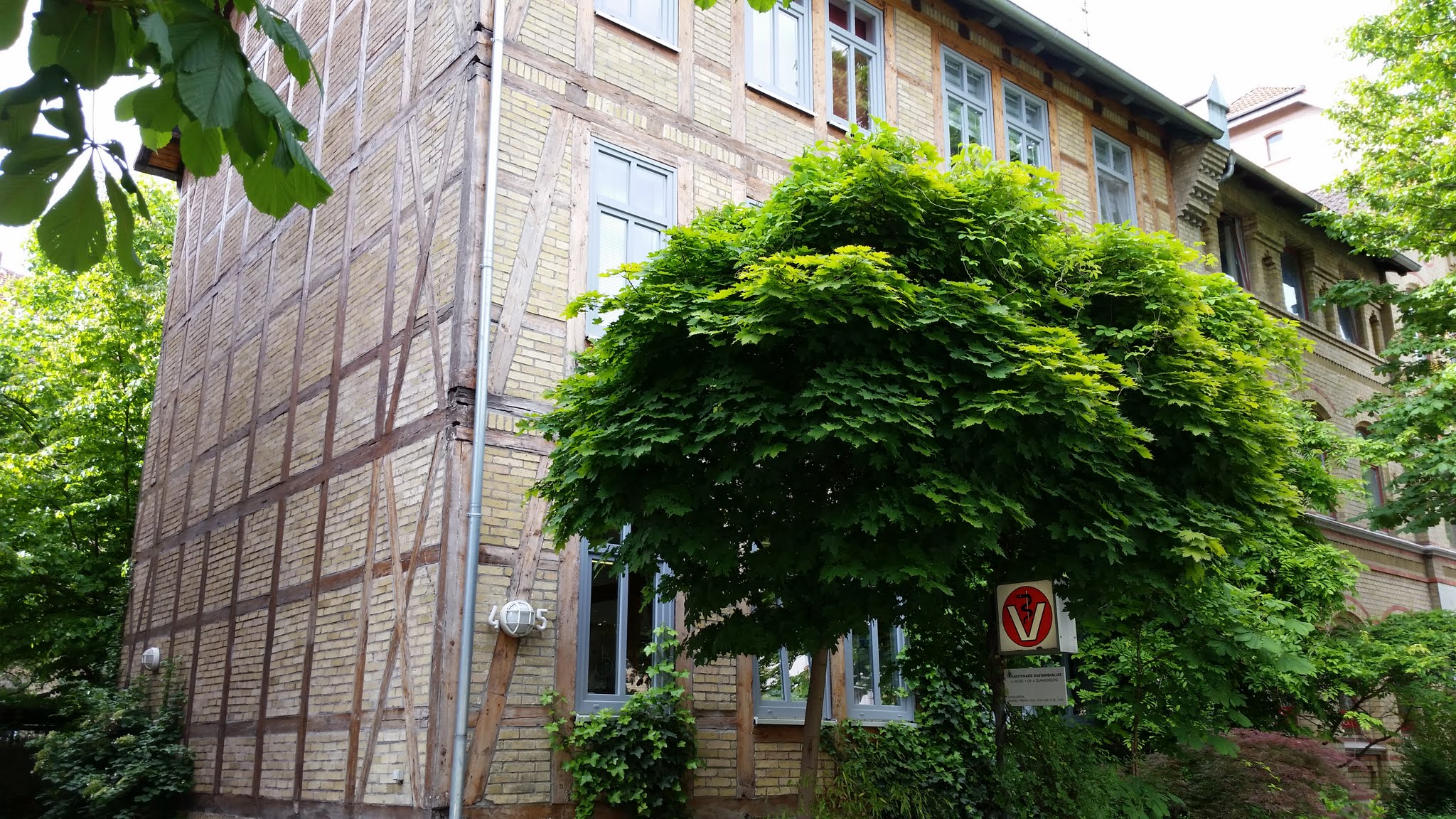 Tierarztpraxis Kastanienallee – Bild