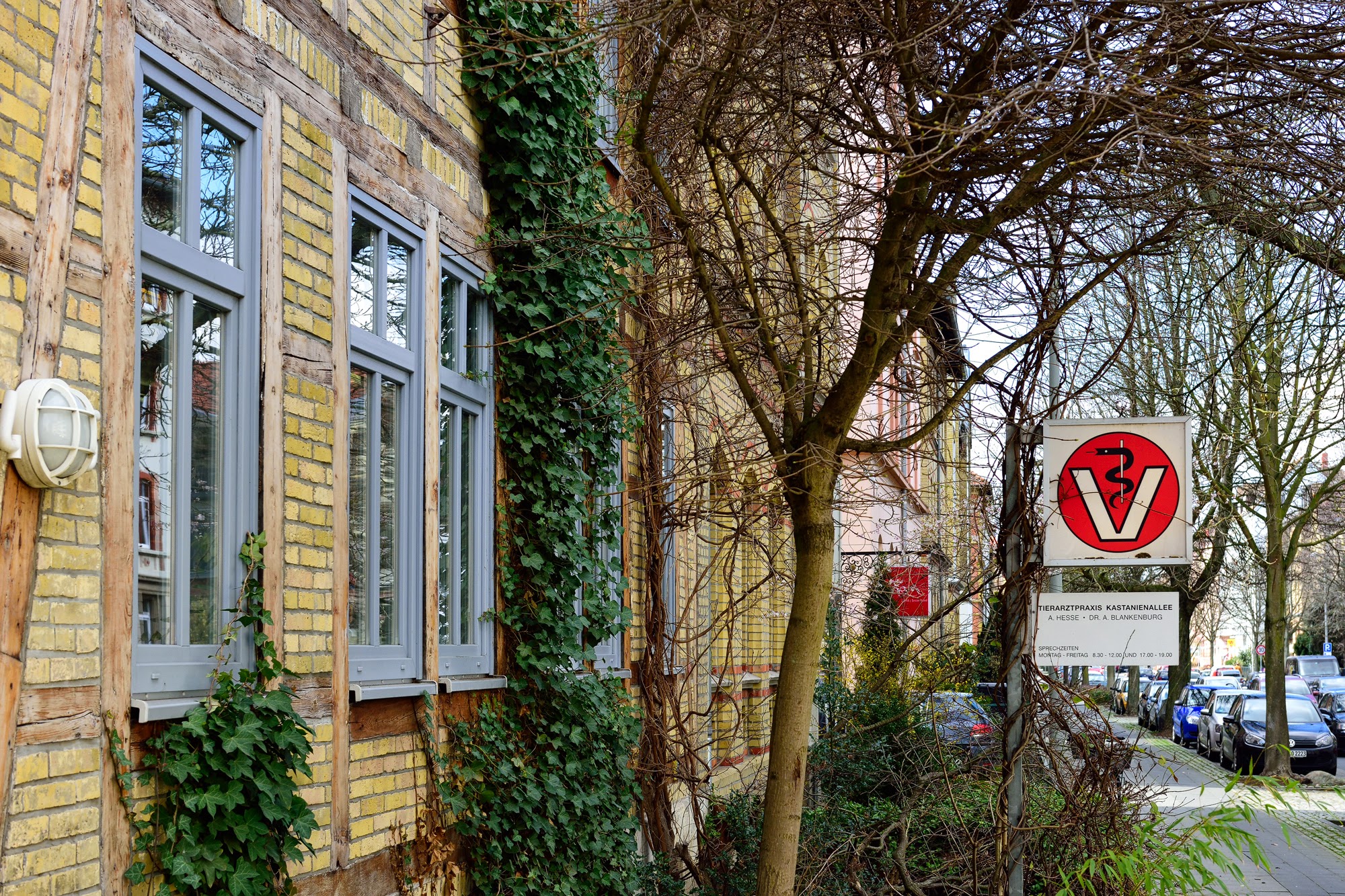 Tierarztpraxis Kastanienallee – Bild
