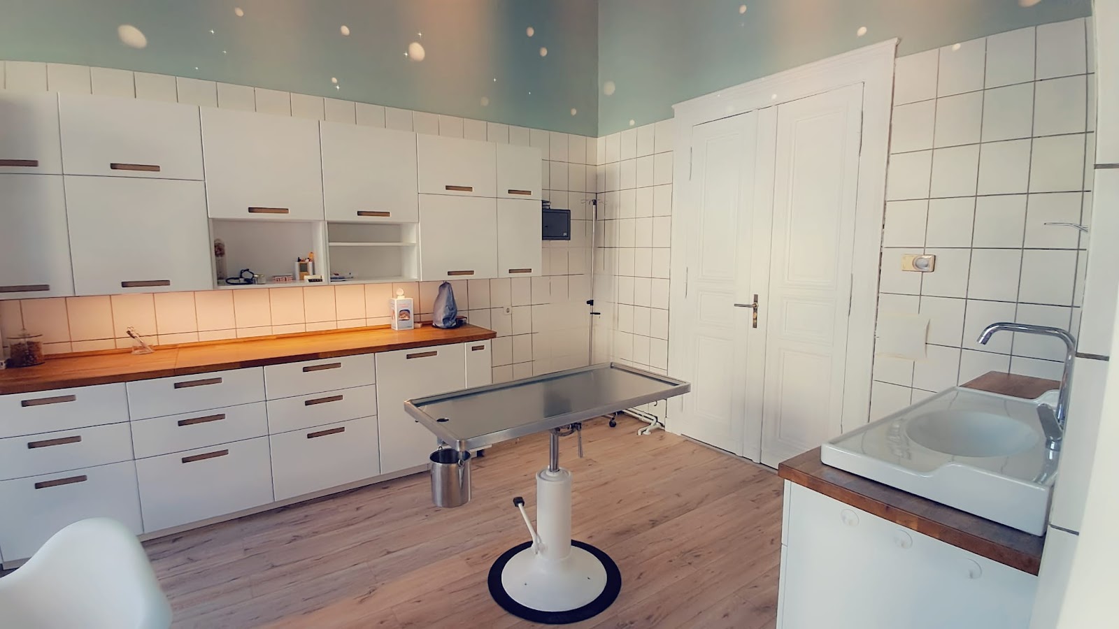 Tierarztpraxis KöNig GmbH in Berlin – Praxisansicht