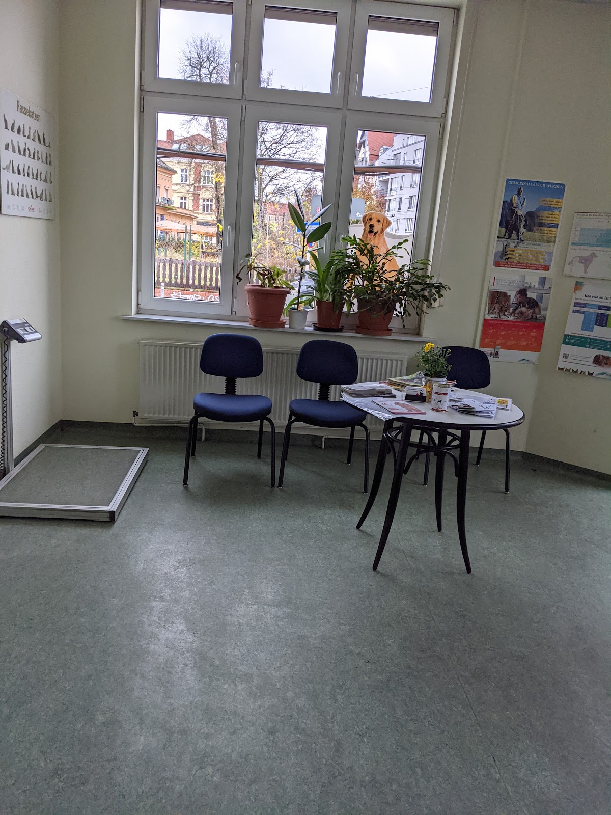 Tierarztpraxis Lange in Berlin – Praxisansicht