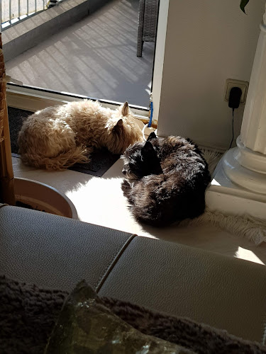 Tierarztpraxis Langwasser