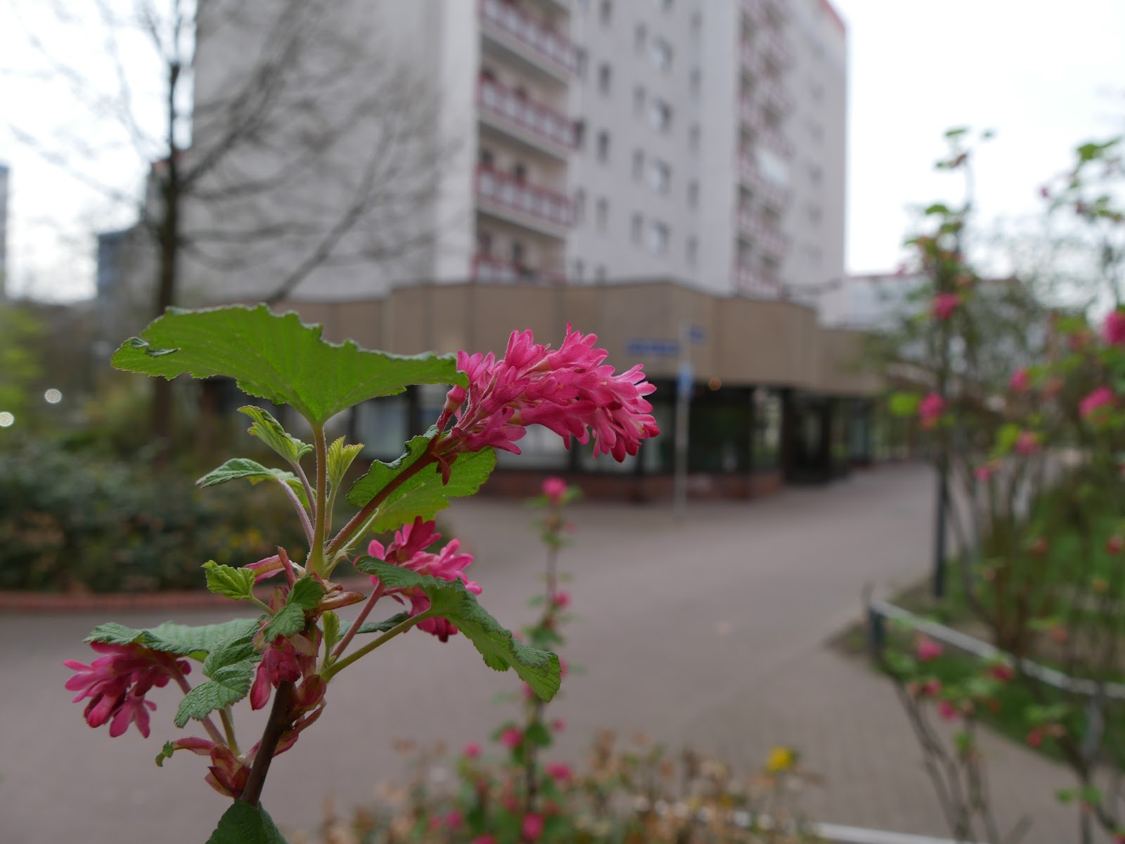 Tierarztpraxis Lunau & Dunkel in Berlin – Praxisansicht