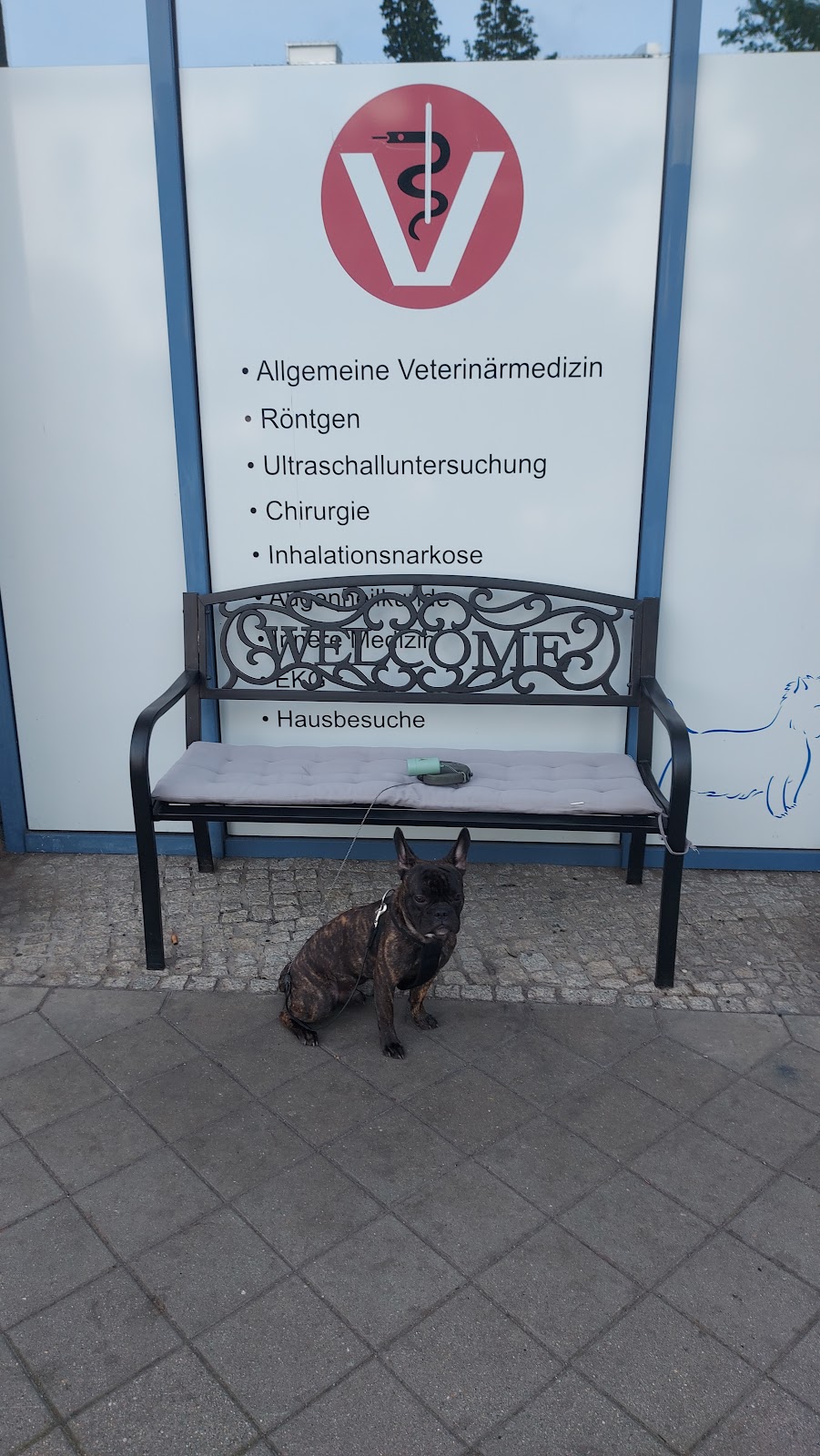 Tierarztpraxis M. Tudies in Hennigsdorf – Foto aus einer Patientenbewertung