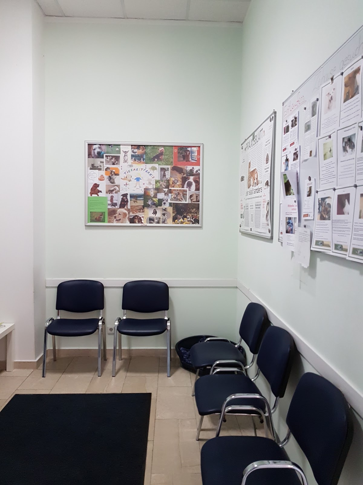 Tierarztpraxis M. Tudies in Hennigsdorf – Praxisfoto 1