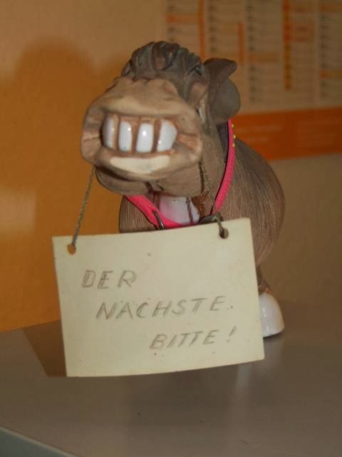 Tierarztpraxis Marion Bickert in Berlin – Praxisfoto 1