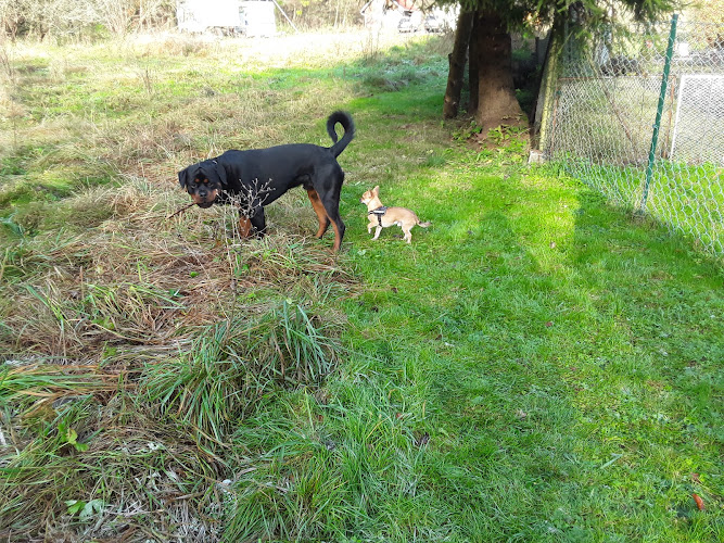 Tierarztpraxis Matthäi