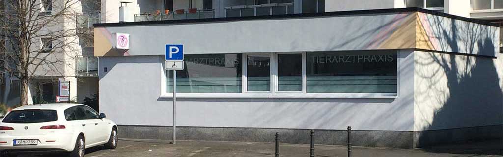 Tierarztpraxis Michael Pirron - Köln in Köln – Praxisfoto 4