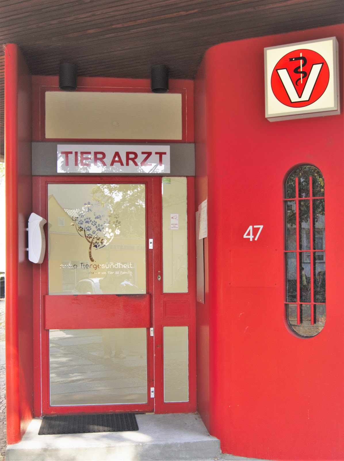 Tierarztpraxis neko Tiergesundheit in Berlin – Praxisfoto 2