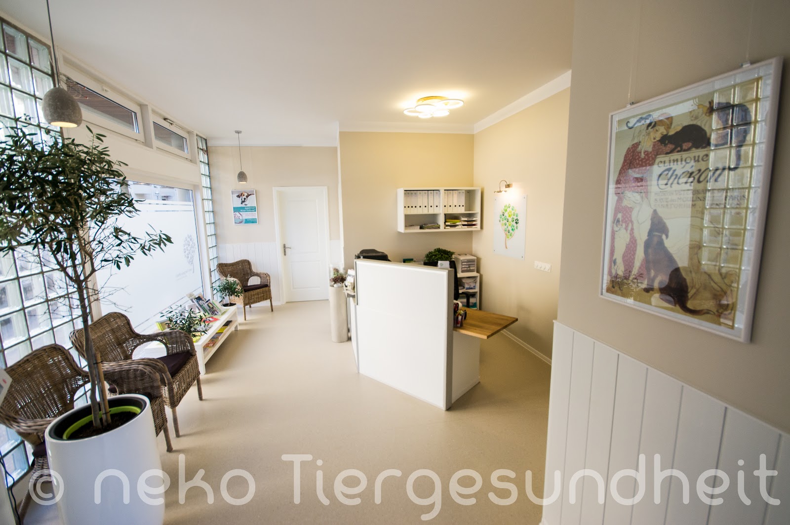 Tierarztpraxis neko Tiergesundheit in Berlin – Praxisansicht