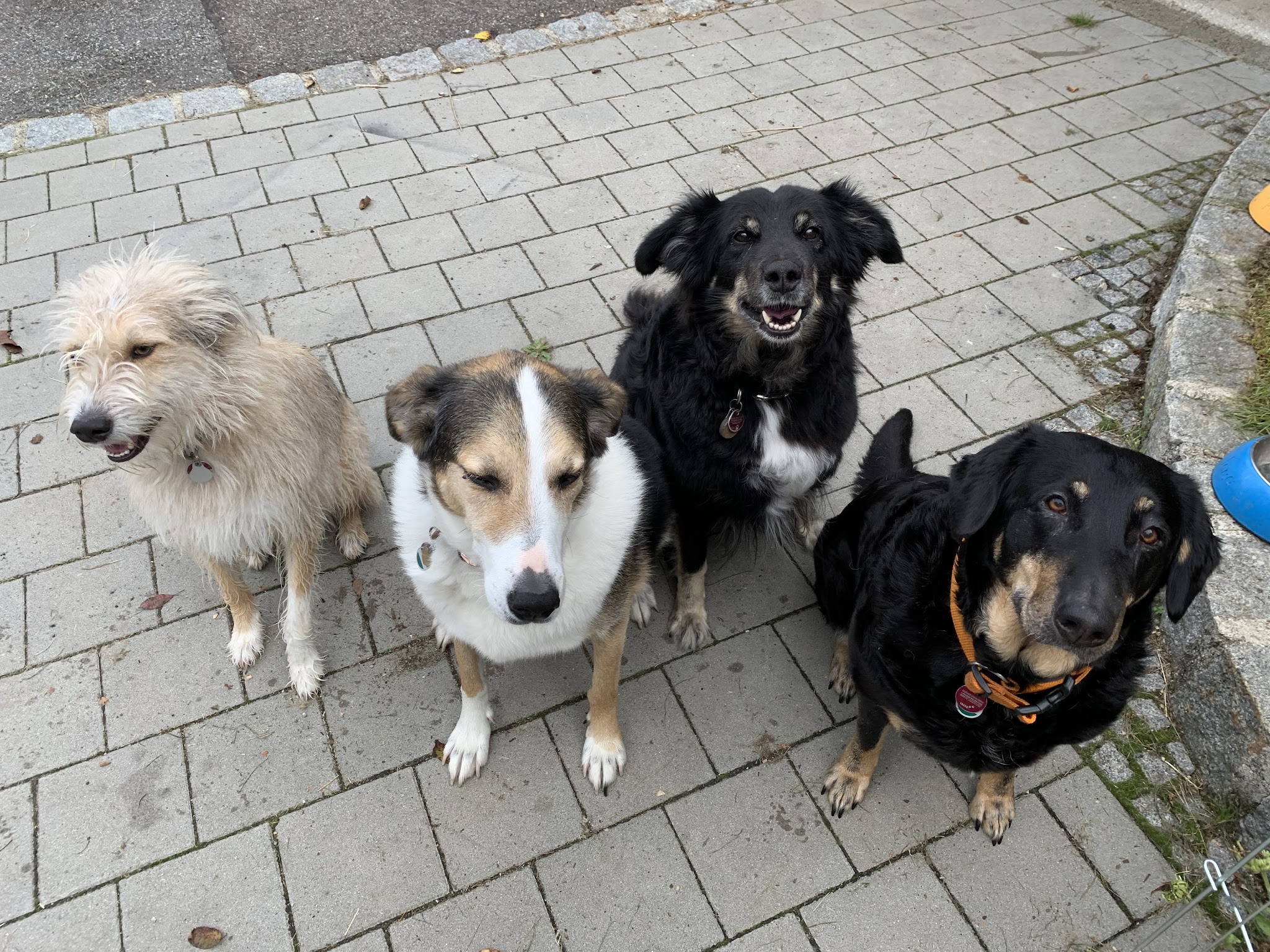 Tierarztpraxis Nistler – Bild