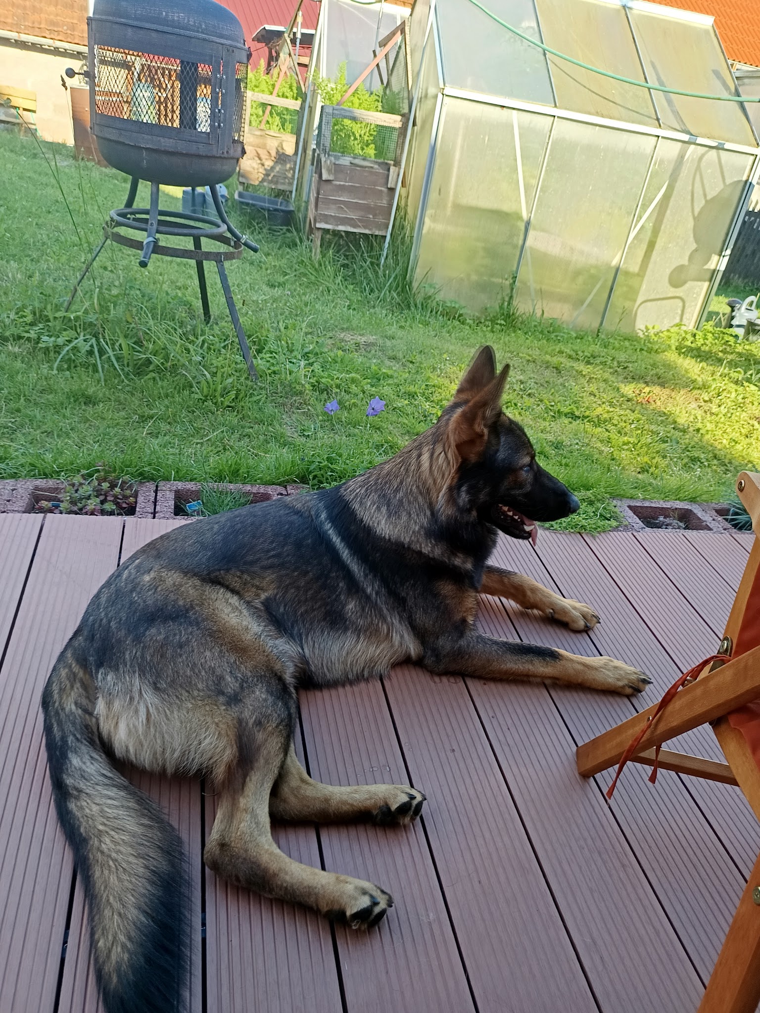 Tierarztpraxis Obermaßfeld - Friederike Wietschel – Bild