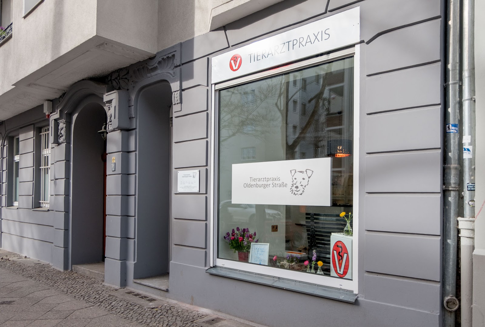 Tierarztpraxis Oldenburger Straße in Berlin – Praxisansicht