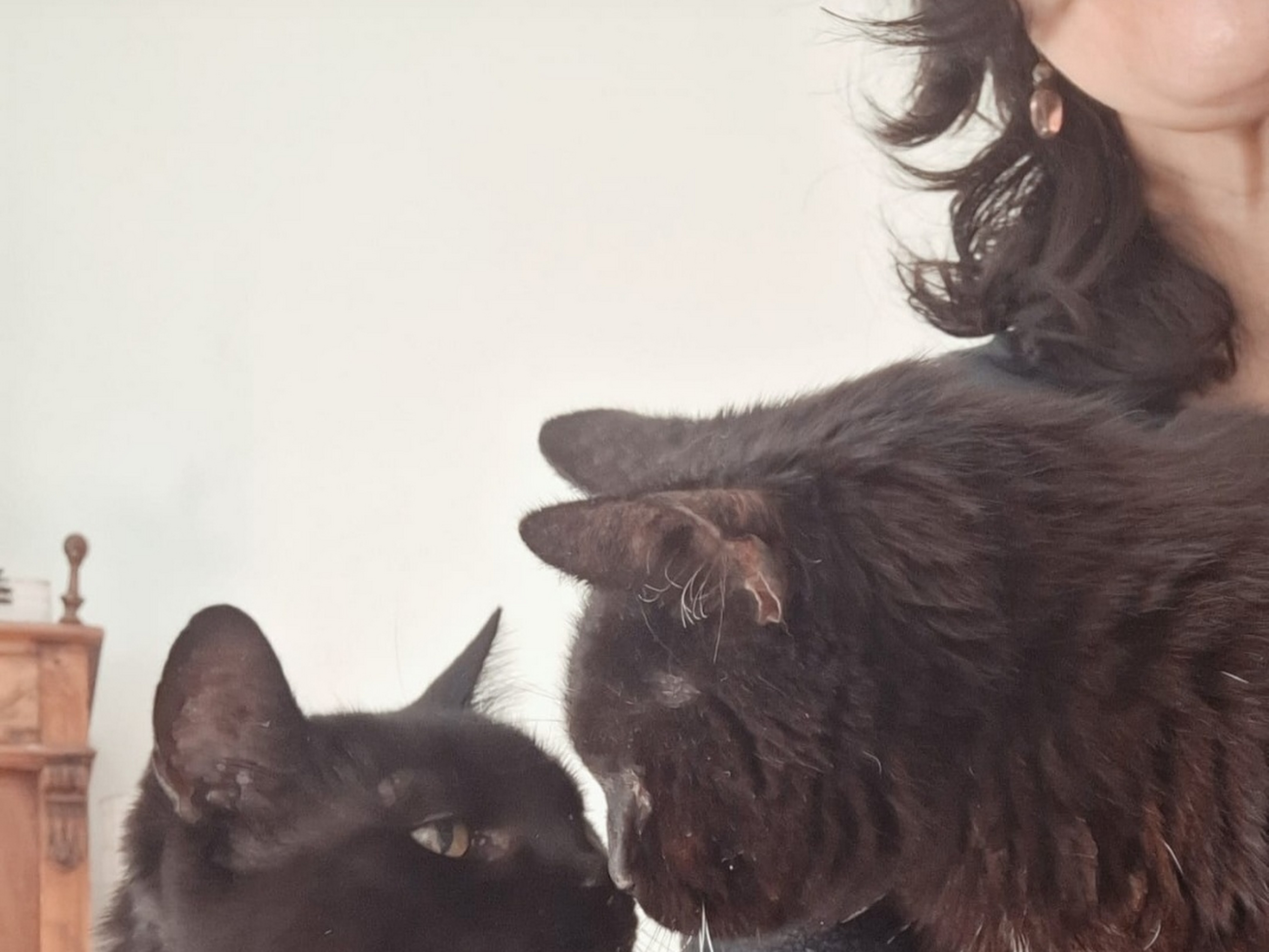 Tierarztpraxis Petra Morlock – Bild