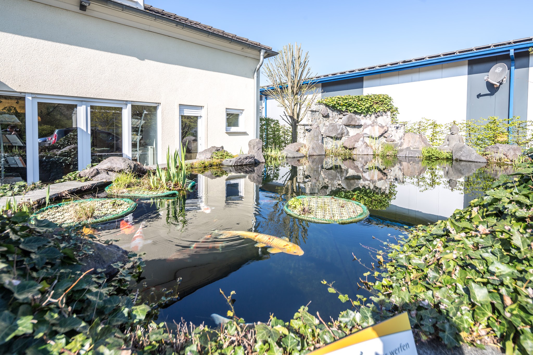 Tierarztpraxis Praxis zur römischen Villa – Bild