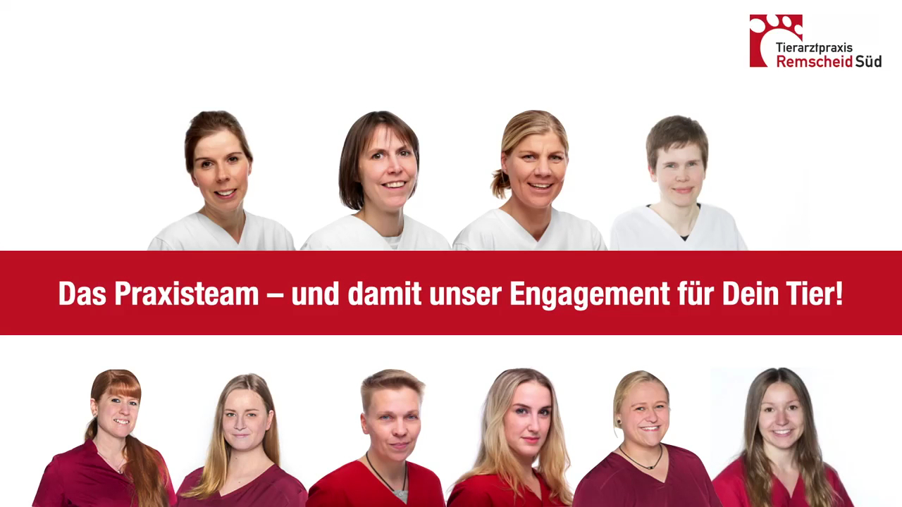 Tierarztpraxis Remscheid-Süd⎮Tiermedizin für Remscheid, Solingen & Wermelskirchen in Remscheid – Praxisfoto 1