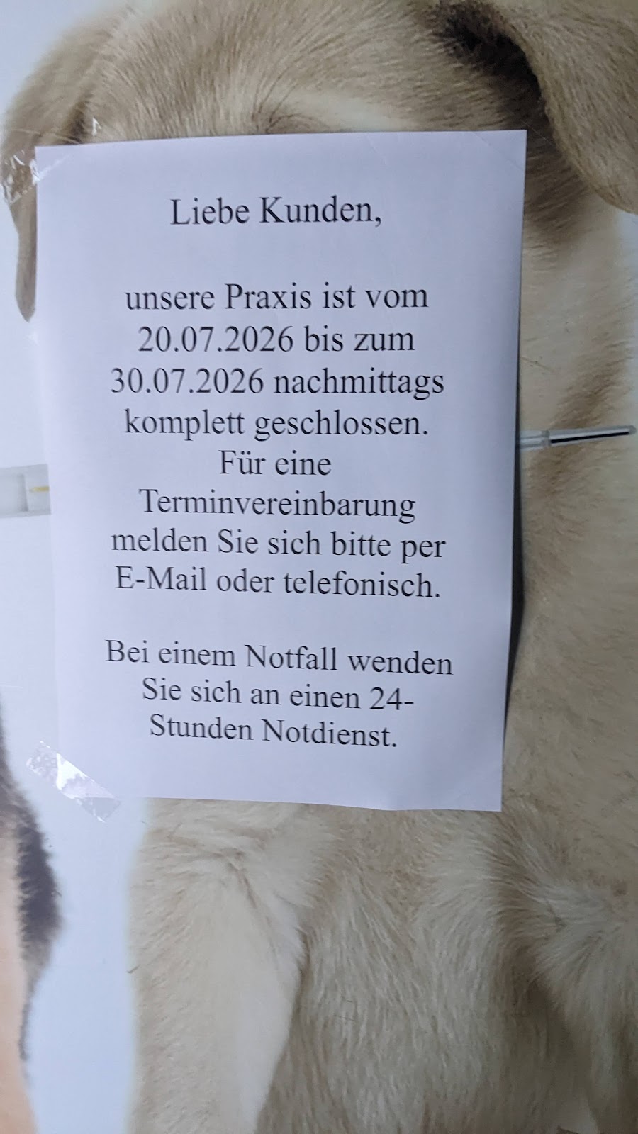 Tierarztpraxis Rotgang in Berlin – Praxisfoto 2