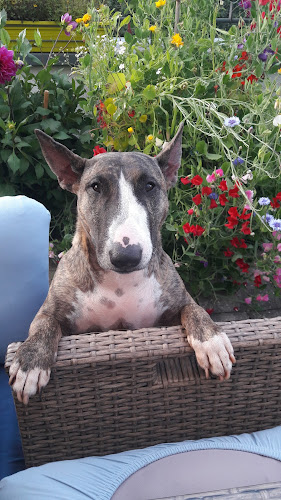 Tierarztpraxis Schwarz