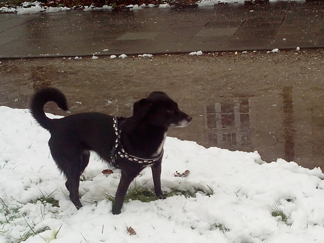 Tierarztpraxis Sendling