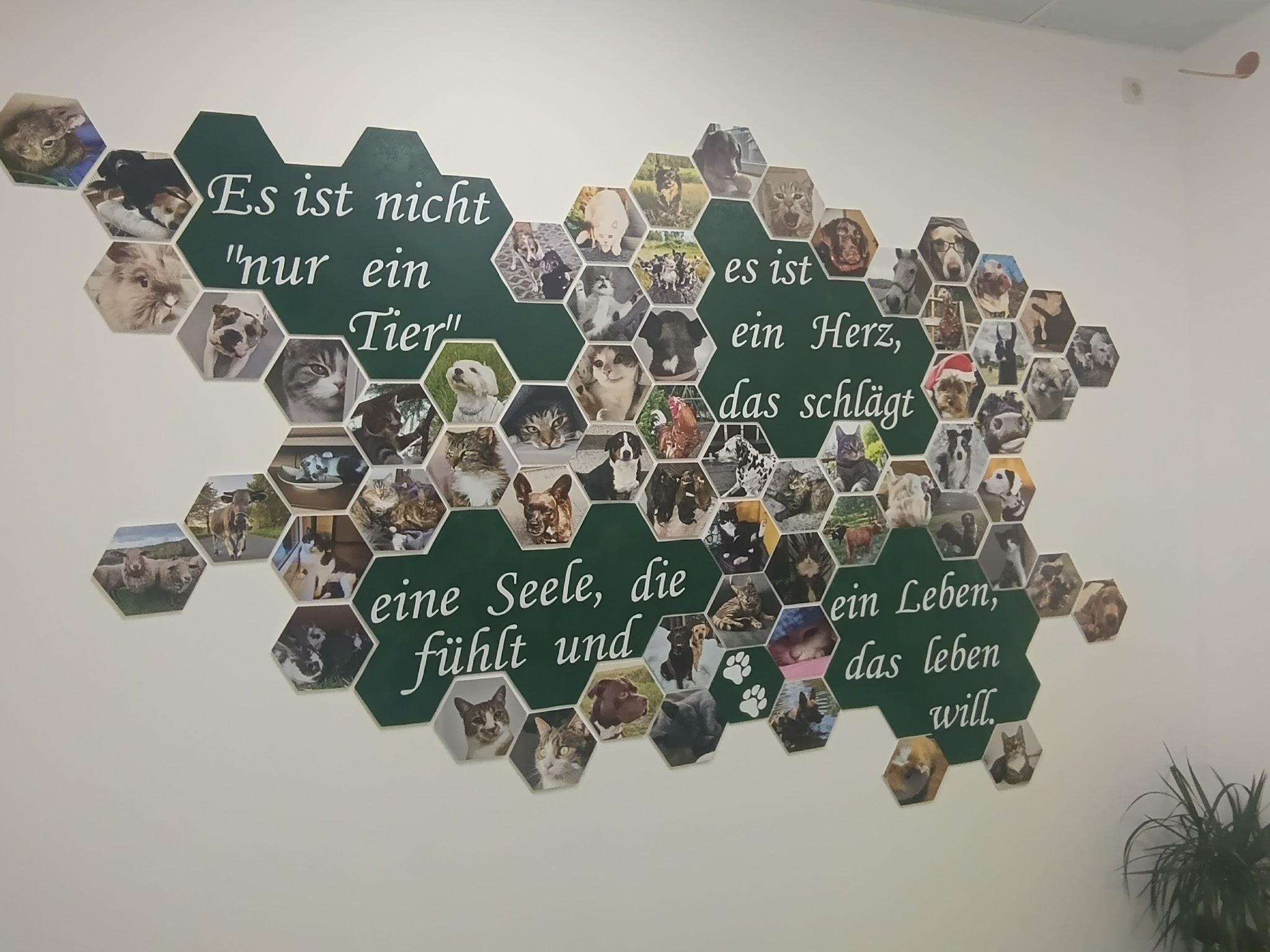 Tierarztpraxis sieben täler – Bild