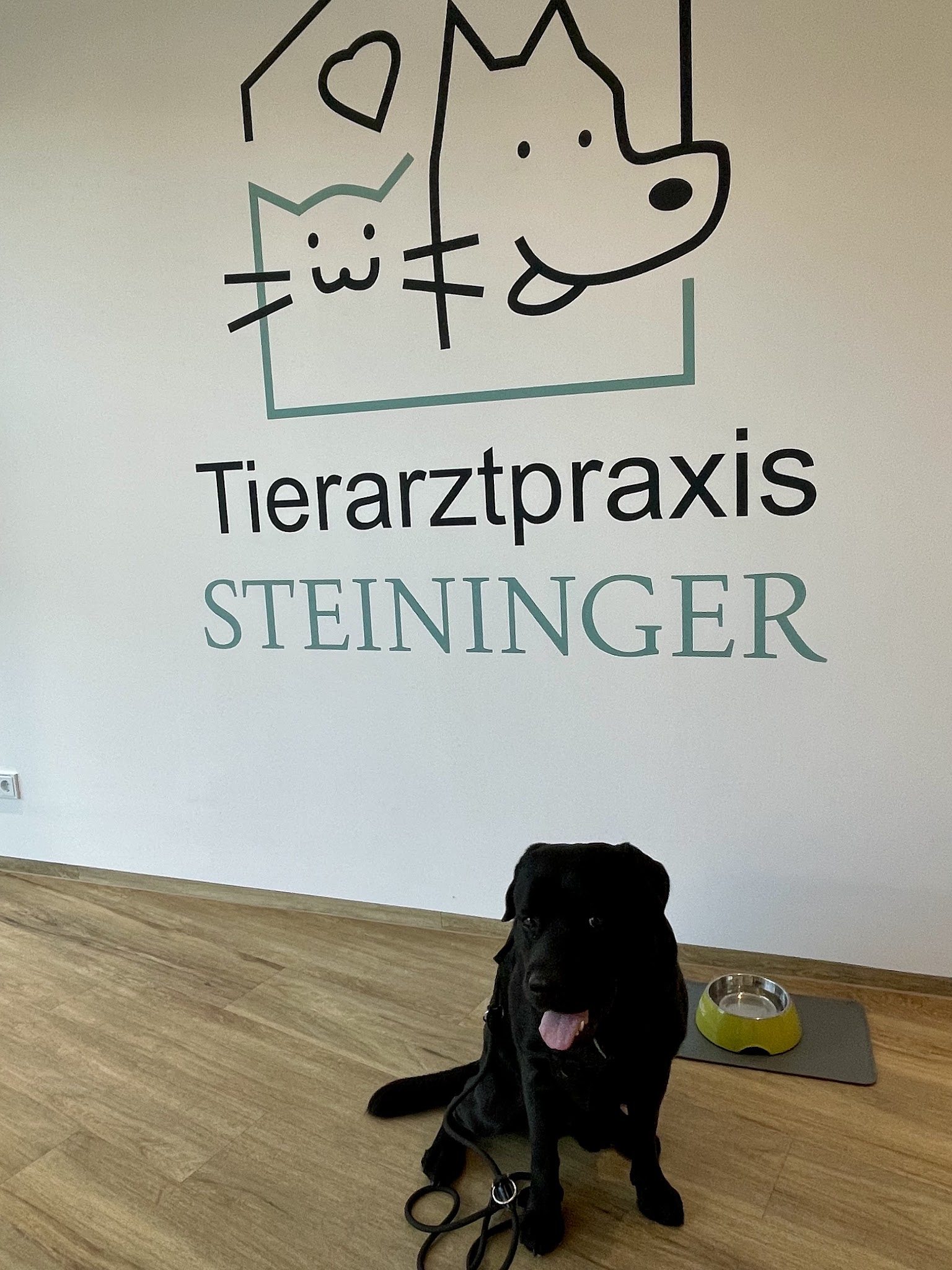 Tierarztpraxis Steininger – Bild