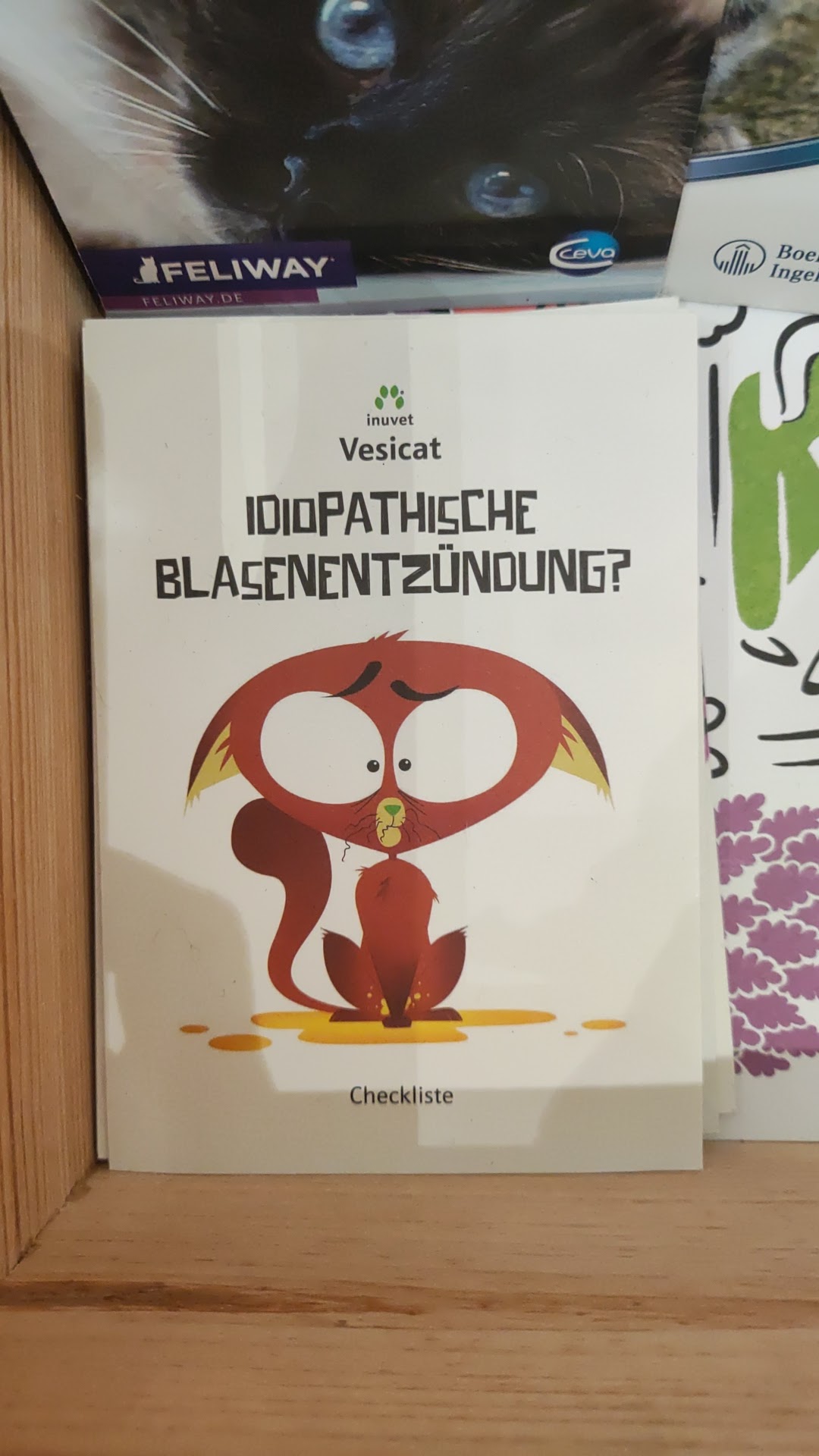 Tierarztpraxis Steininger – Bild