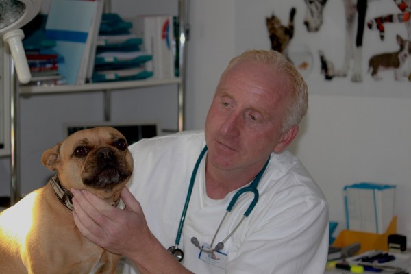 Tierarztpraxis Trudering Dr. Horst Möritz | München