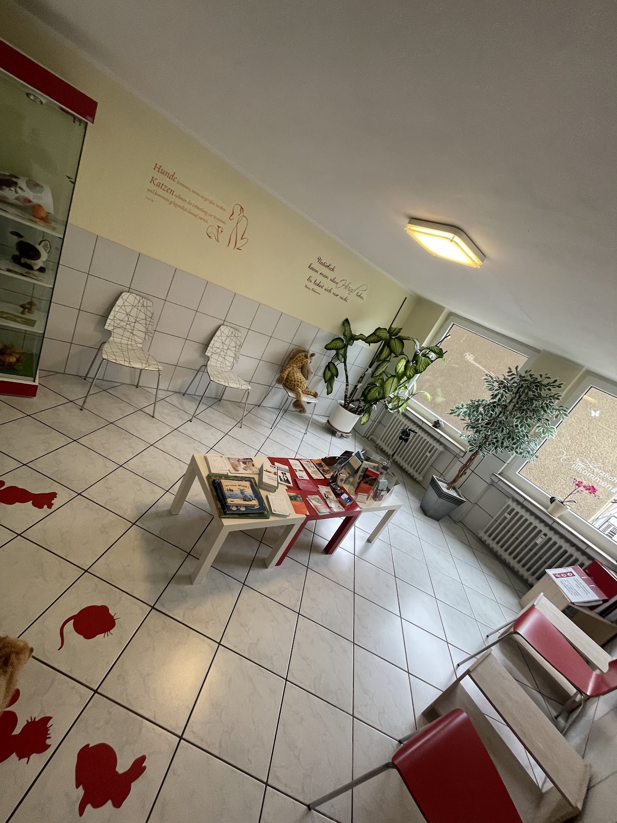 Tierarztpraxis Ulrich in Köln – Foto aus einer Patientenbewertung