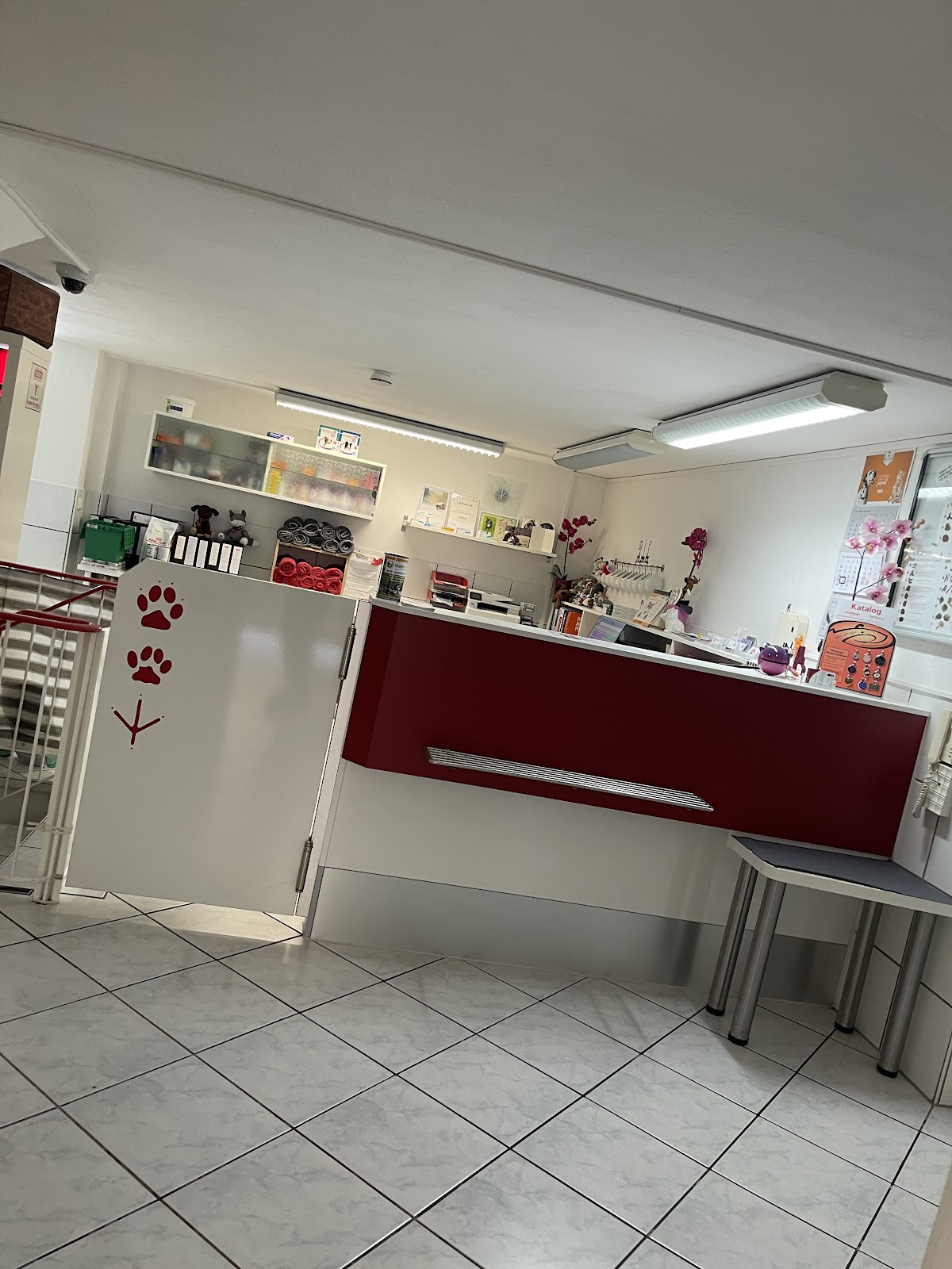 Tierarztpraxis Ulrich in Köln – Foto aus einer Patientenbewertung