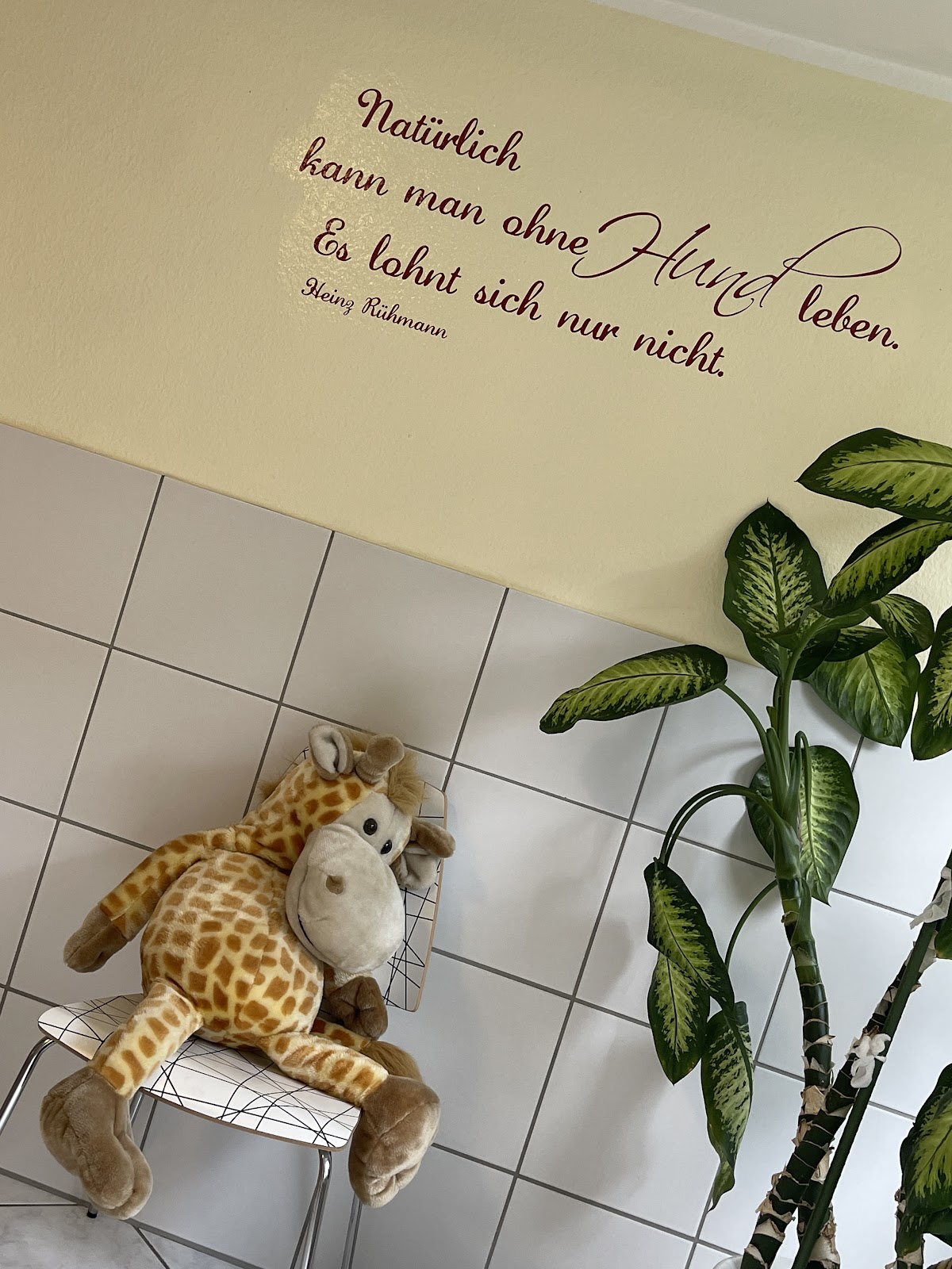 Tierarztpraxis Ulrich in Köln – Foto aus einer Patientenbewertung