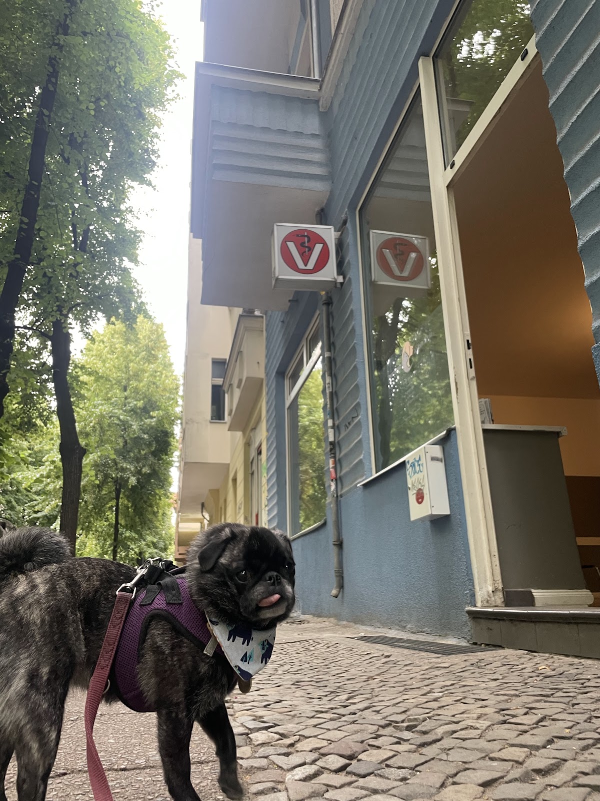TIERARZTPRAXIS WAGNER.BERLIN in Berlin – Praxisansicht