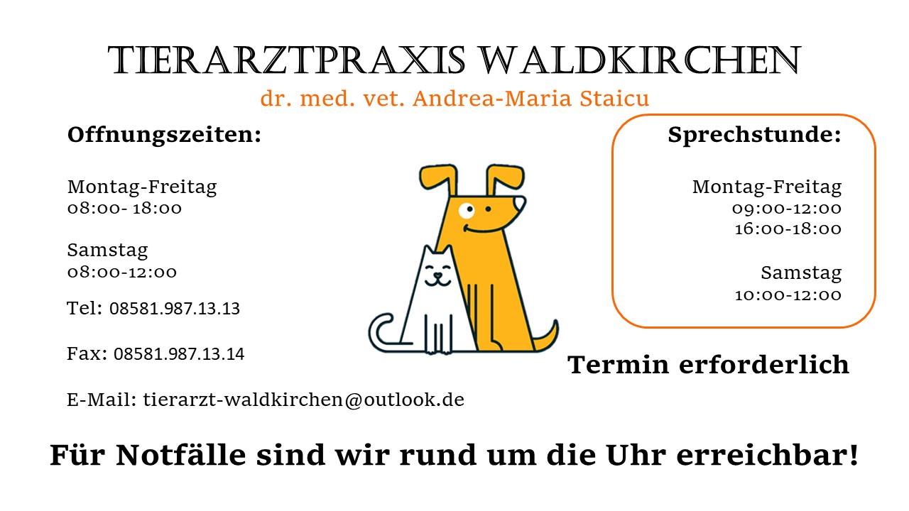 Tierarztpraxis Waldkirchen Andrea-Maria Staicu – Bild