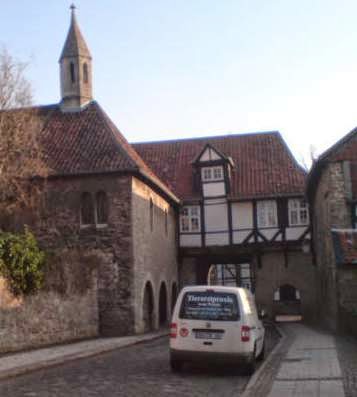 Tierarztpraxis Wenden - Kleintierpraxis Sonja Werner in Braunschweig – Bild