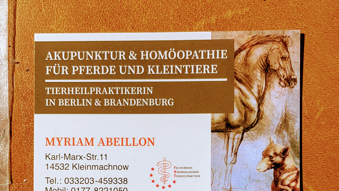 Tierheilpraxis Abeillon