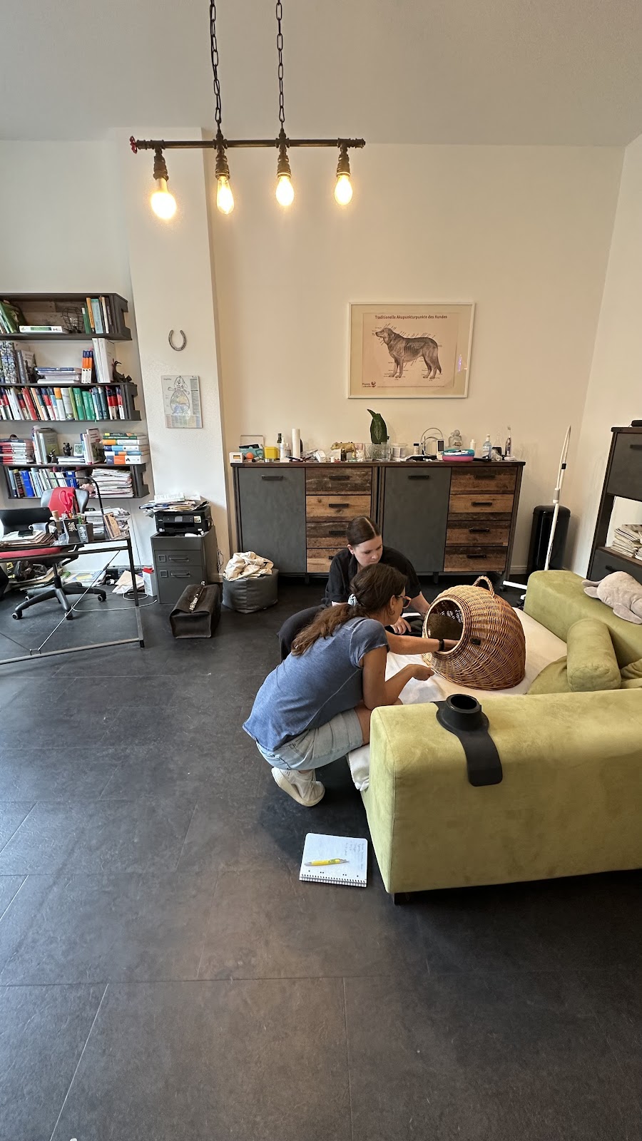 Tierheilpraxis Kreuzberg in Berlin – Praxisansicht